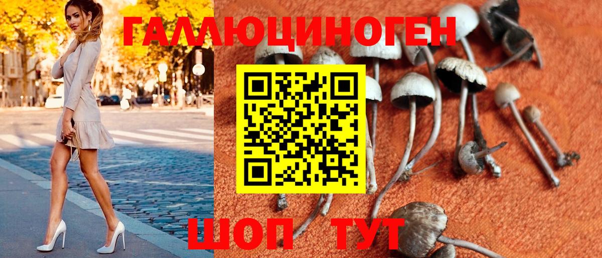 Псилоцибиновые грибы GOLDEN TEACHER Новосибирск