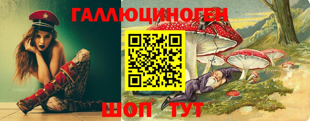 Новосибирск  Галлюциногенные грибы GOLDEN TEACHER  Вход с VPN  купить  цена  Галлюциногенные грибы мицелий 