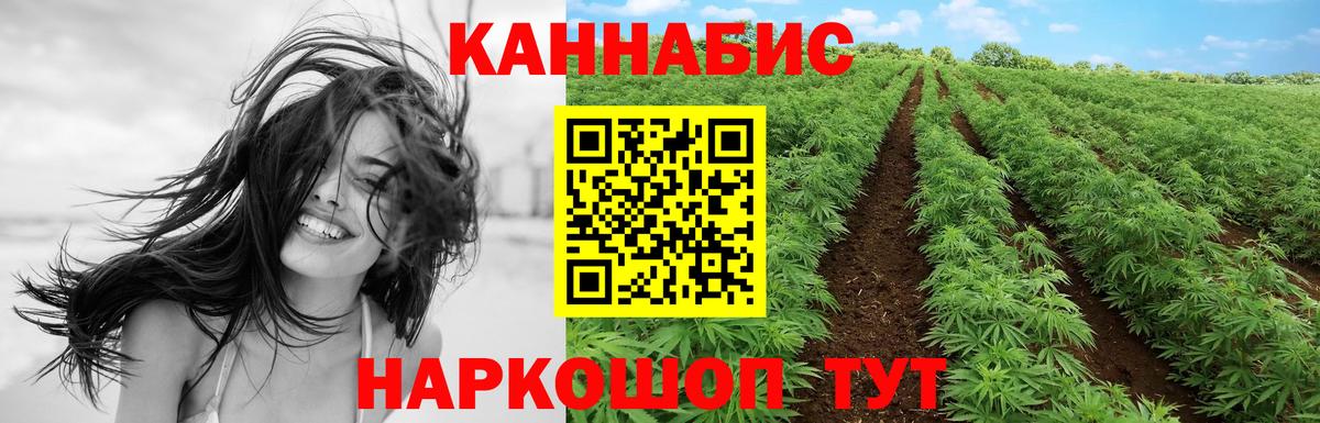 Бошки Шишки LSD WEED  Конопля семена  Вход с VPN  Новосибирск  Бошки Шишки ГИДРОПОН 